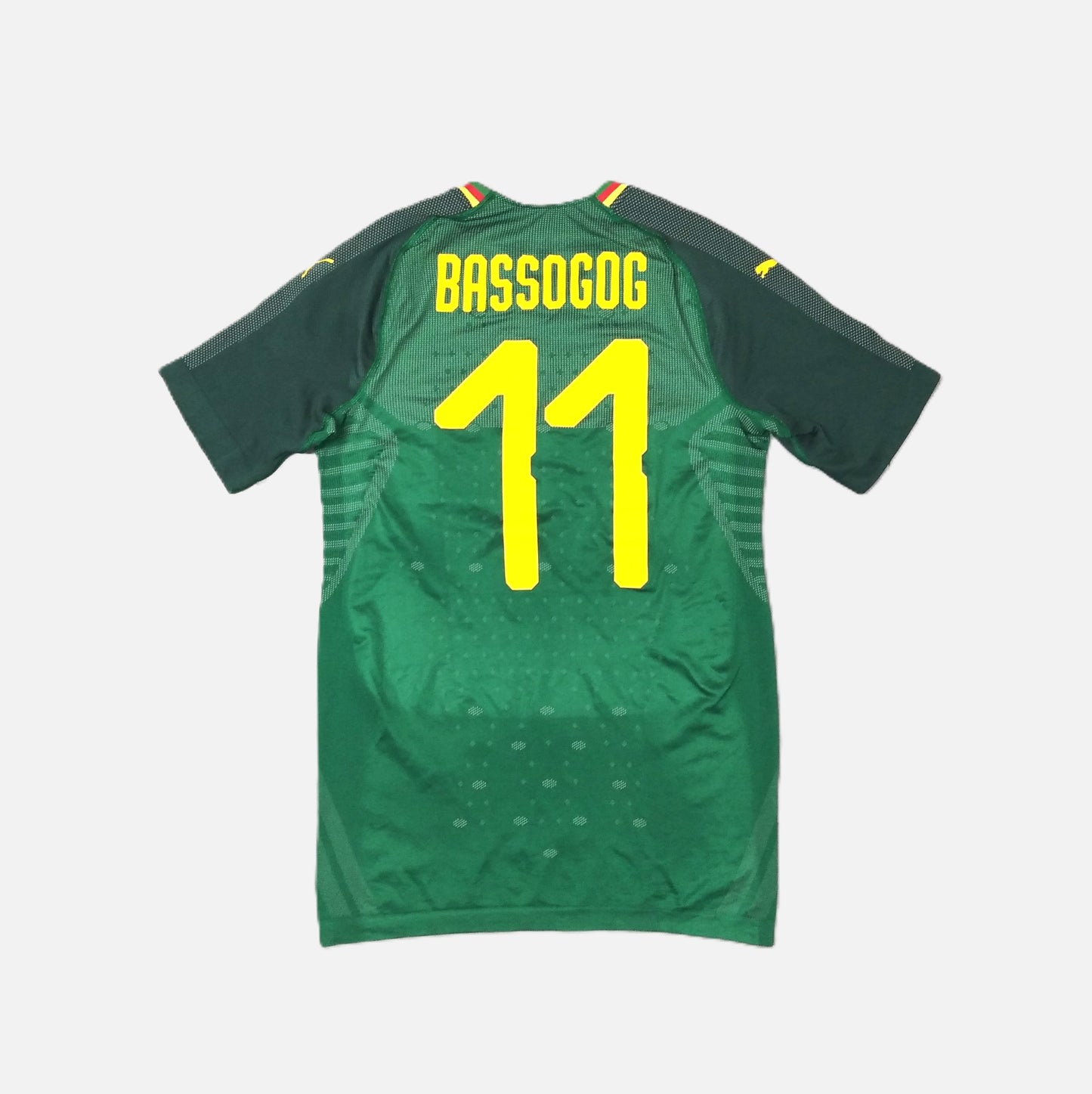 Cameroon Football Short Sleeve Home Jersey 2018 / 19 Puma Bassogog Unisex Adults Player Issue #11 Cameroon Football Soccer Africa World Cup Vintage Retro SHIRTS V SKINS