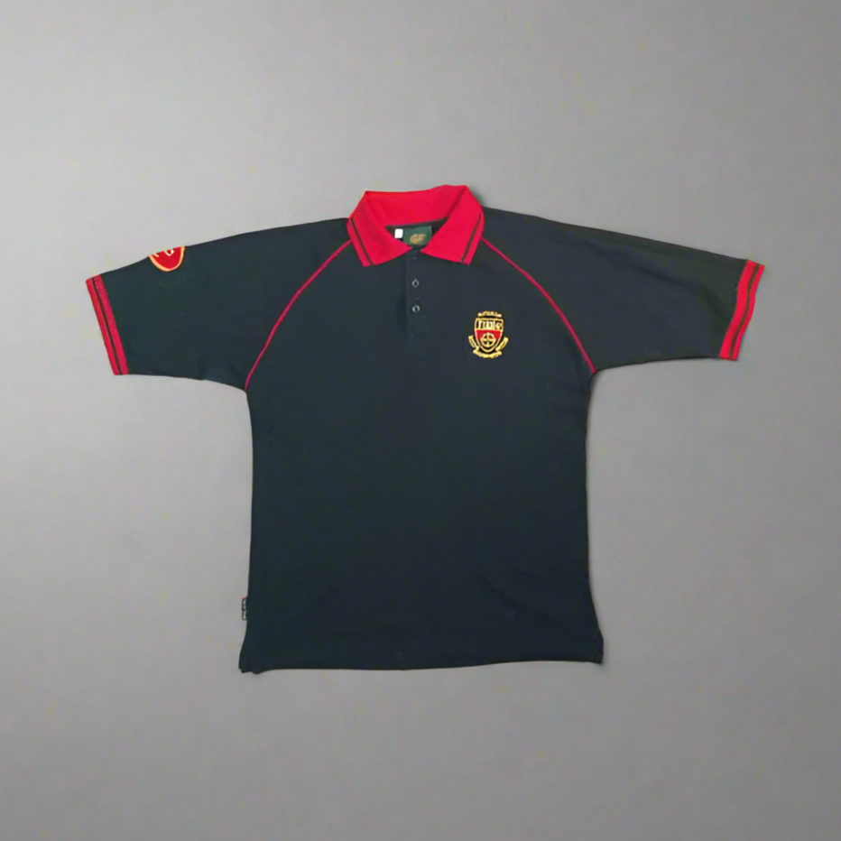 Down GAA Short Sleeve Casual Polo 2000s Gaelic Gear Unisex Adults Canal Court Hotel Down An Dun GAA Jersey Shirt Vintage Retro SHIRTS V SKINS