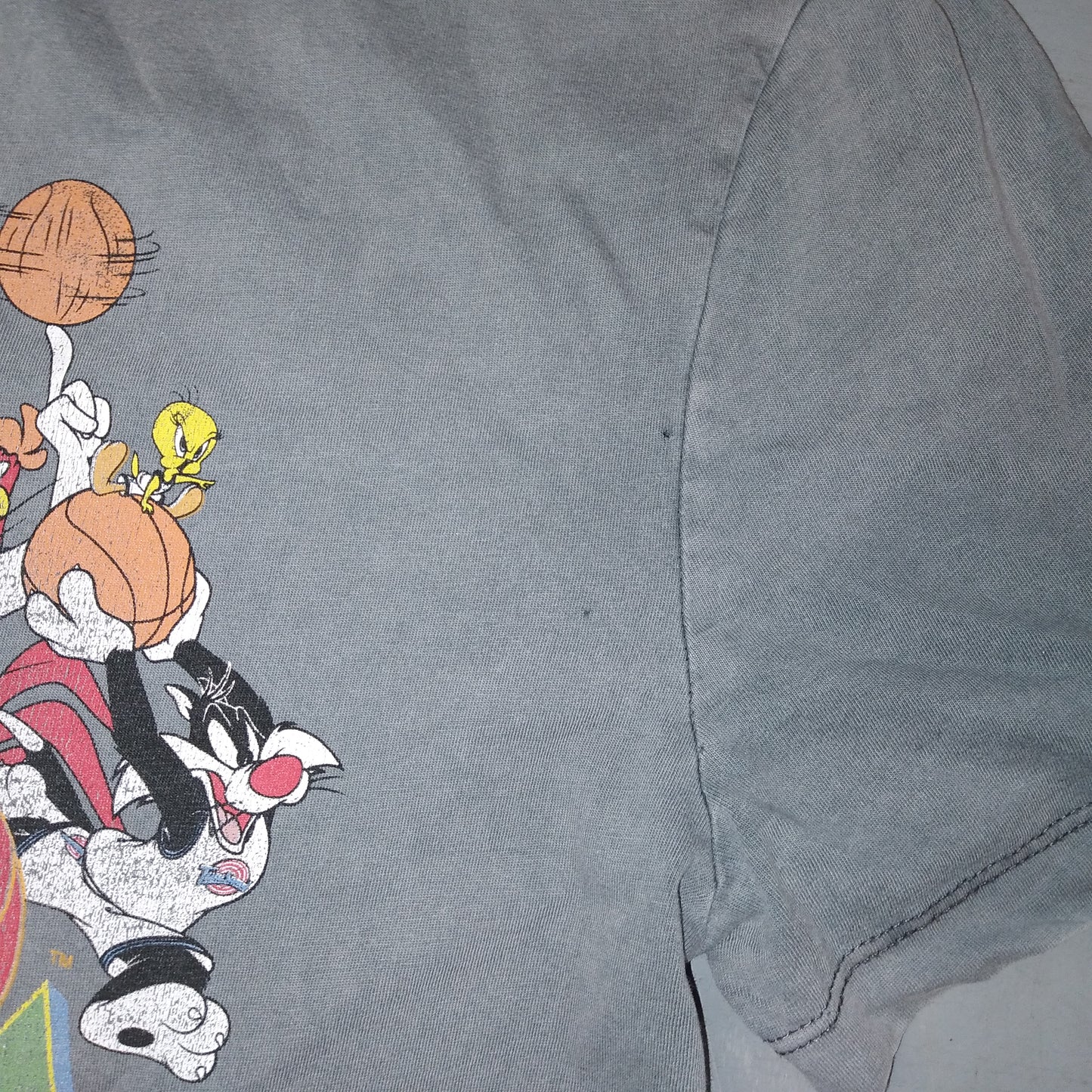 Space Jam Basketball  Short Sleeve  Casual  T-Shirt  1990s  Warner Brothers     Unisex Adults         Space Jam Michael jordan buggs bunny daffy duck  SHIRTS V SKINS   