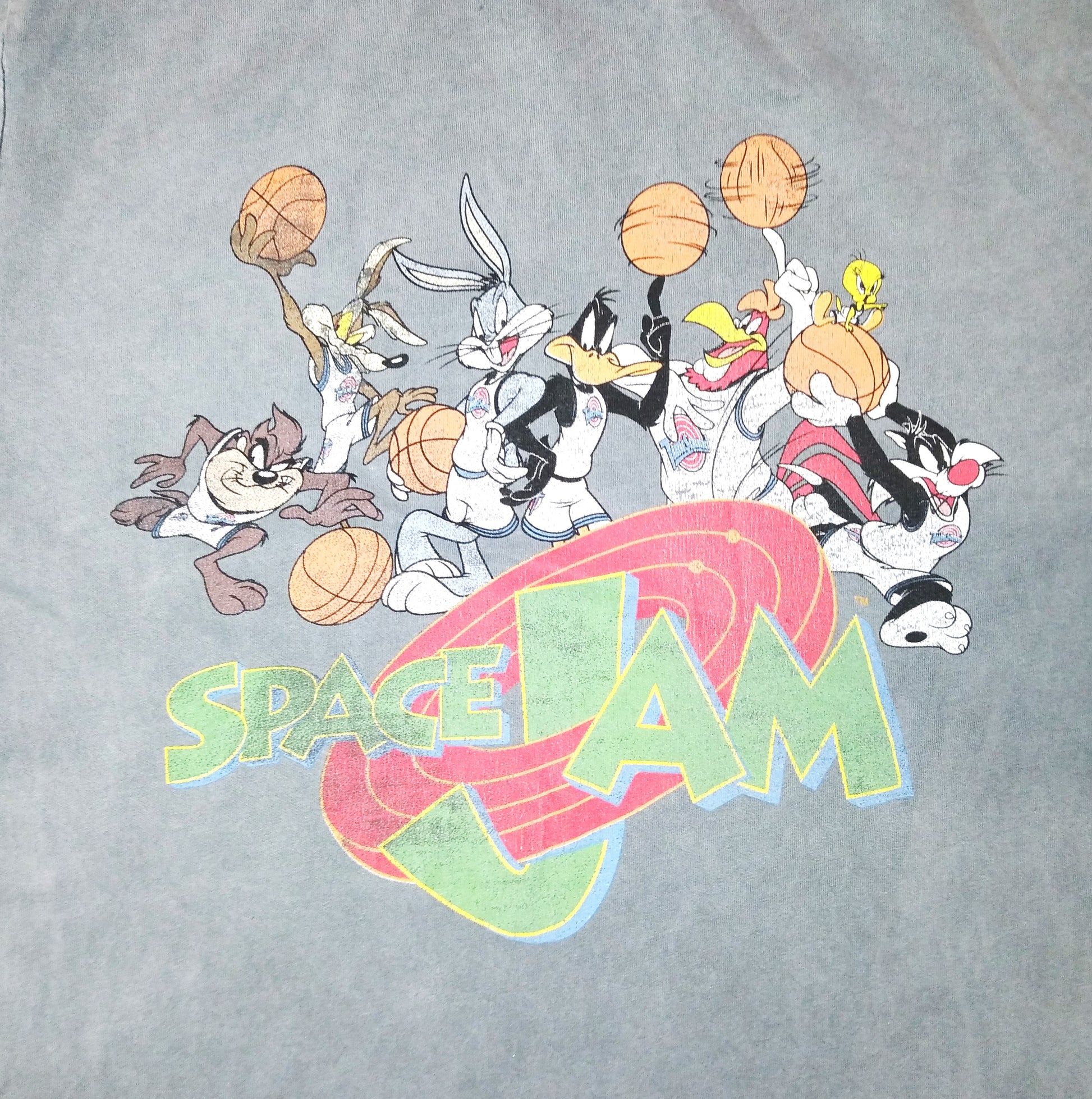 Space Jam Basketball  Short Sleeve  Casual  T-Shirt  1990s  Warner Brothers     Unisex Adults         Space Jam Michael jordan buggs bunny daffy duck  SHIRTS V SKINS   