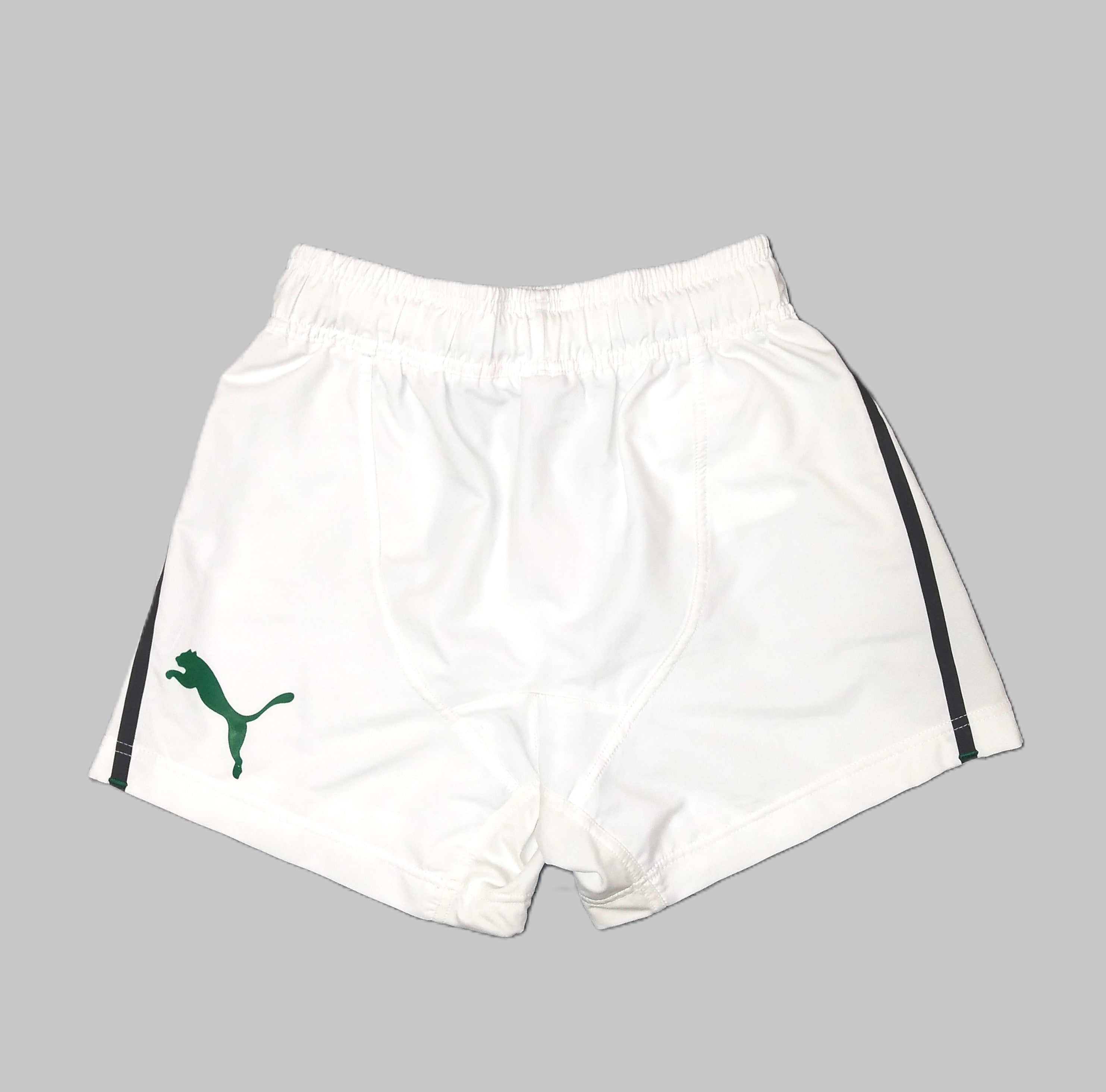 Puma shorts 2014 online