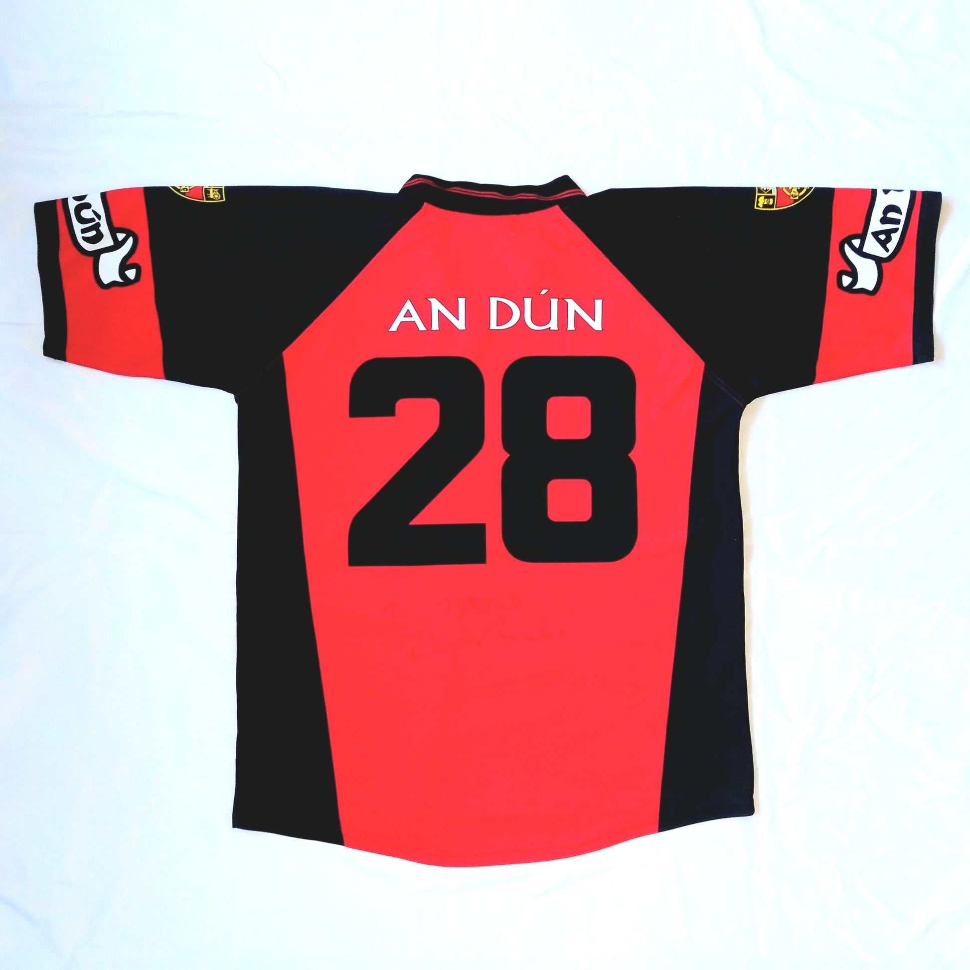 Down GAA  Home  Jersey  2003 / 04  Gaelic Gear  Player Issue   Unisex Adults       Canal Court Hotel  SVS1912  