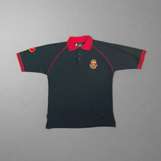 Down GAA  Short Sleeve  Casual  Polo  2000s  Gaelic Gear     Unisex Adults       Canal Court Hotel  Down An Dun GAA Jersey Shirt Vintage Retro  SHIRTS V SKINS   