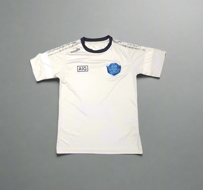 Dublin GAA  Short Sleeve  Training  Jersey  2022 / 23  O'Neills     Unisex Adults       AIG  Dublin GAA Gaelic football Hurling Leinster All Ireland Croke Park   SHIRTS V SKINS   