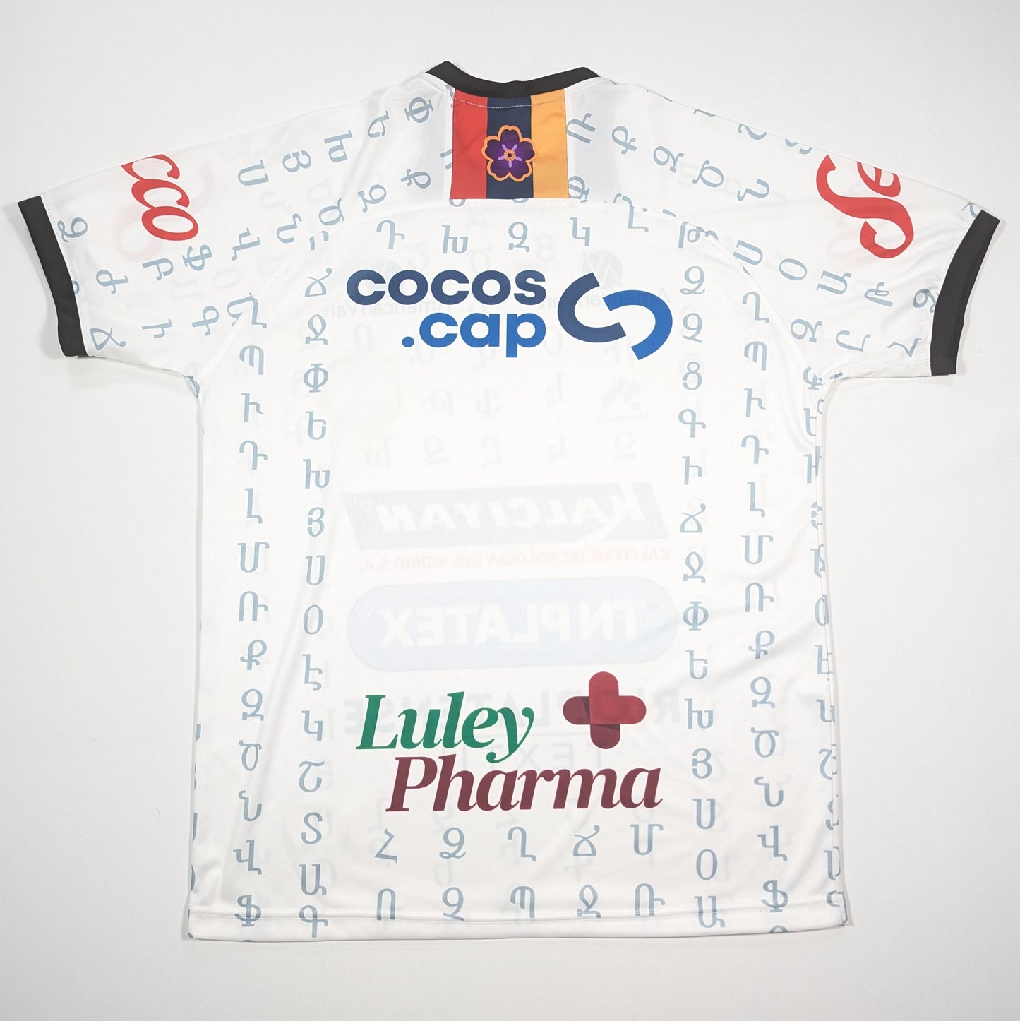 Deportivo Armenio Masbar Football Jersey 2024 (L) [Excellent]