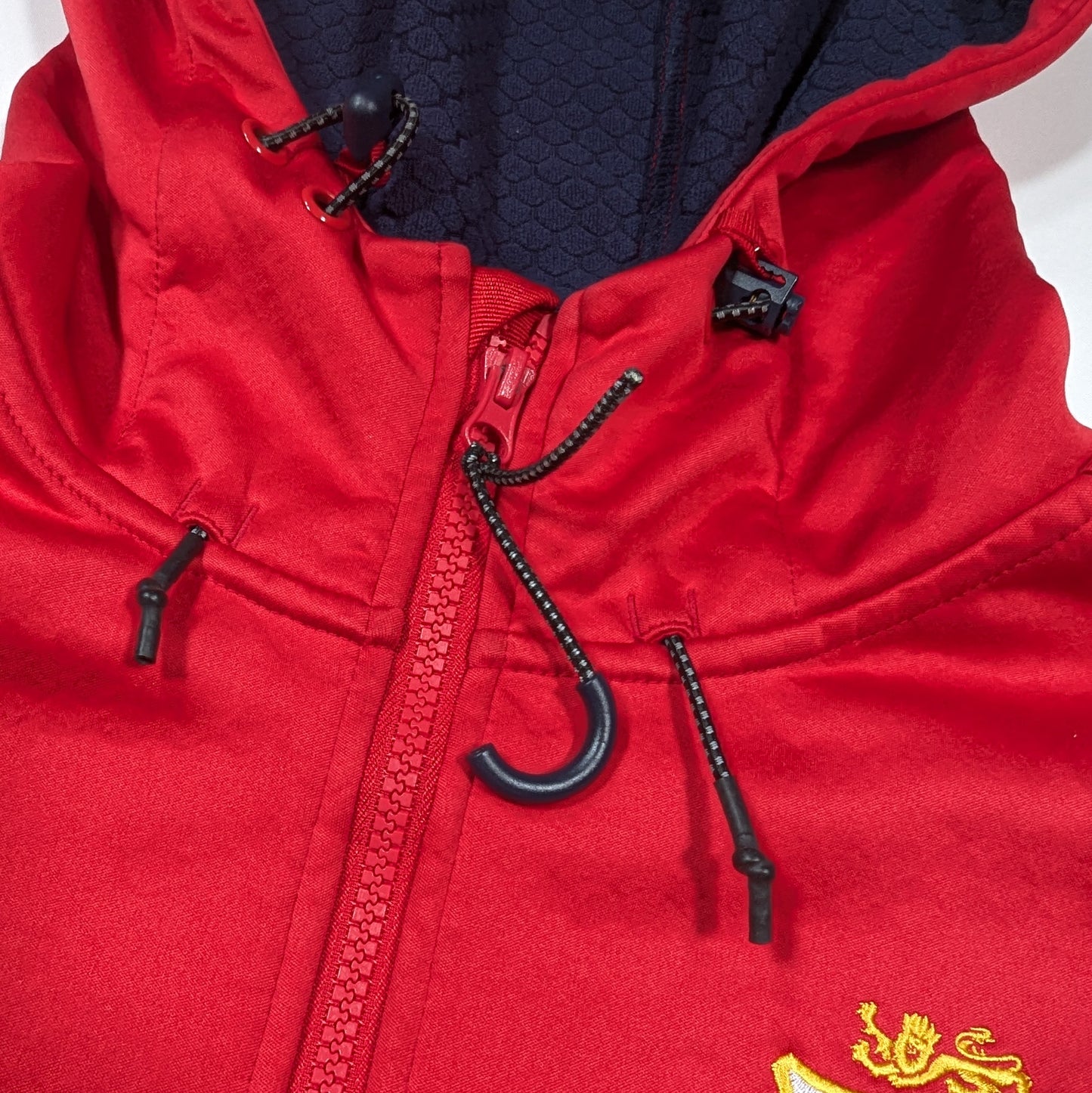 Lions Canterbury Rugby Hoody 2017 (XL) [Good]