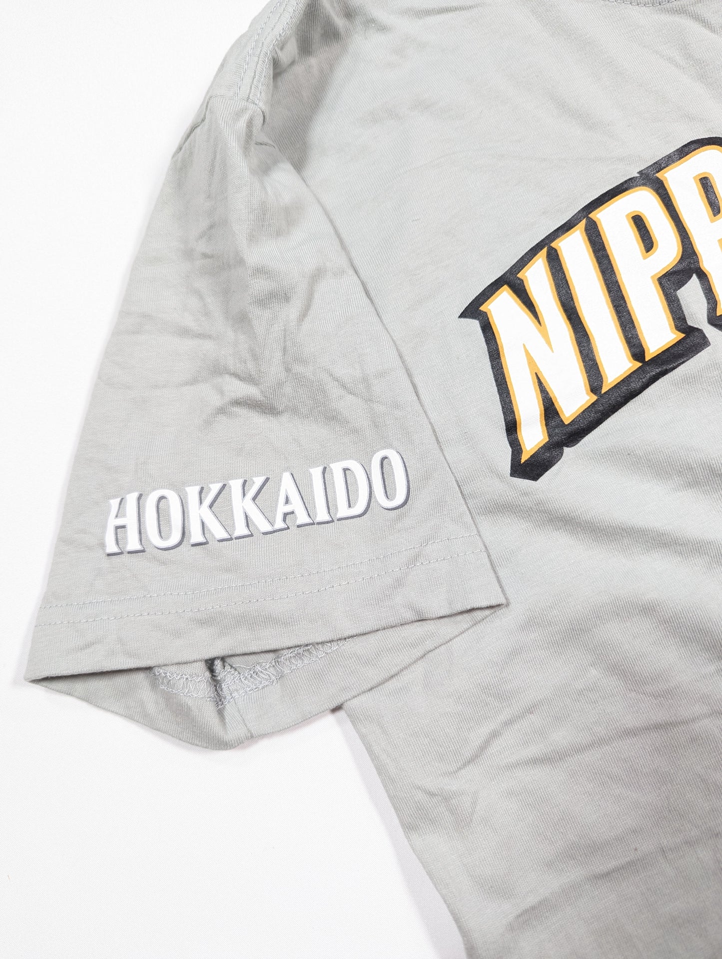 Hokkaido Nippon Ham Fighters Fighters Baseball T-Shirt 2020s (M) [Excellent]
