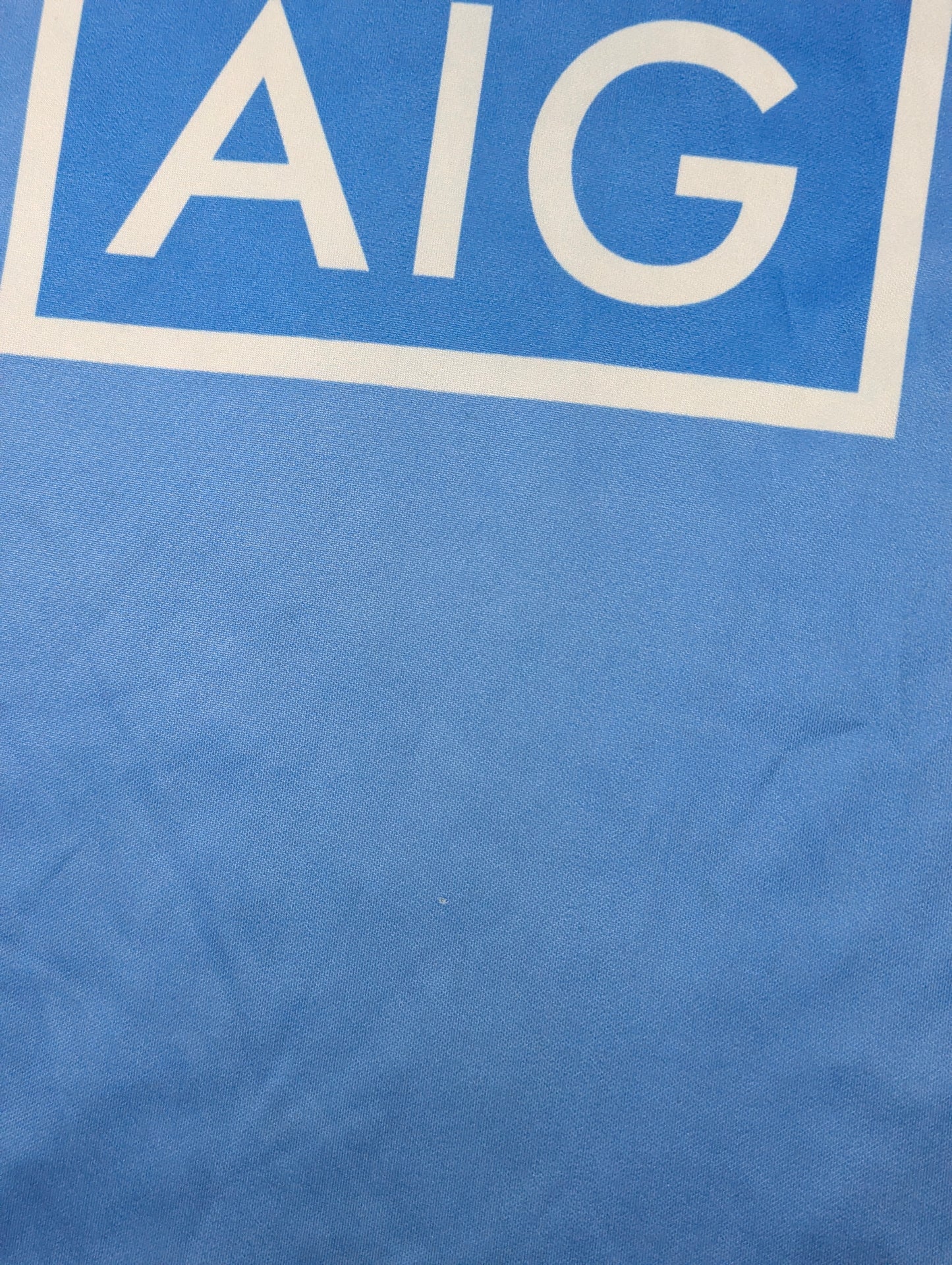 Dublin O'Neills Home GAA Jersey 2014 (S) [Good]
