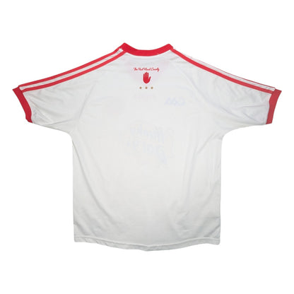 Tyrone O'Neills Home GAA Jersey 2013 (S) [Very Good]