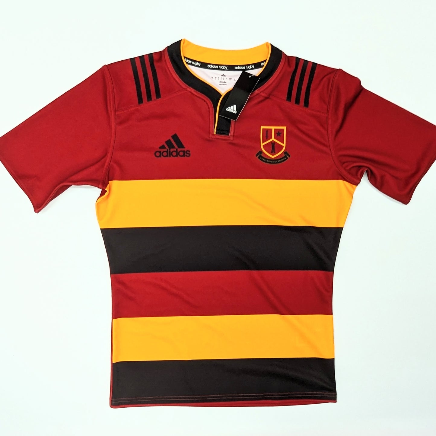 cbs monkstown jersey 2018 / 19 sponsorless adidas  svs2252