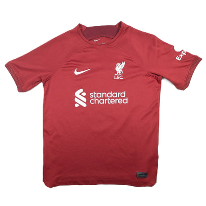 liverpool jersey 2022 standard chartered nike virgil van dyke dj7862 609 svs4241